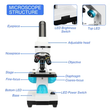 100-2000-Кратно Увеличение На Студентски Научен Експеримент Биологичен Микроскоп