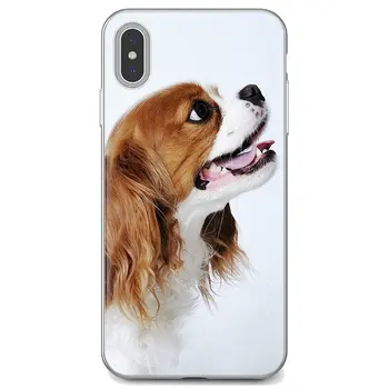 Силиконов калъф Кавалер Кинг Шпаньол кученца куче за iPhone 10 11 12 13 Mini Pro 4S 5S SE 5C 6 6 S 7 8 X XR XS Плюс Макс 2020